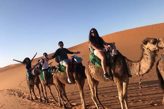 Marrakech Desert: Camel Ride, Quad Biking & Dinner Show Options - A necessary warning about the mixed itinerary details