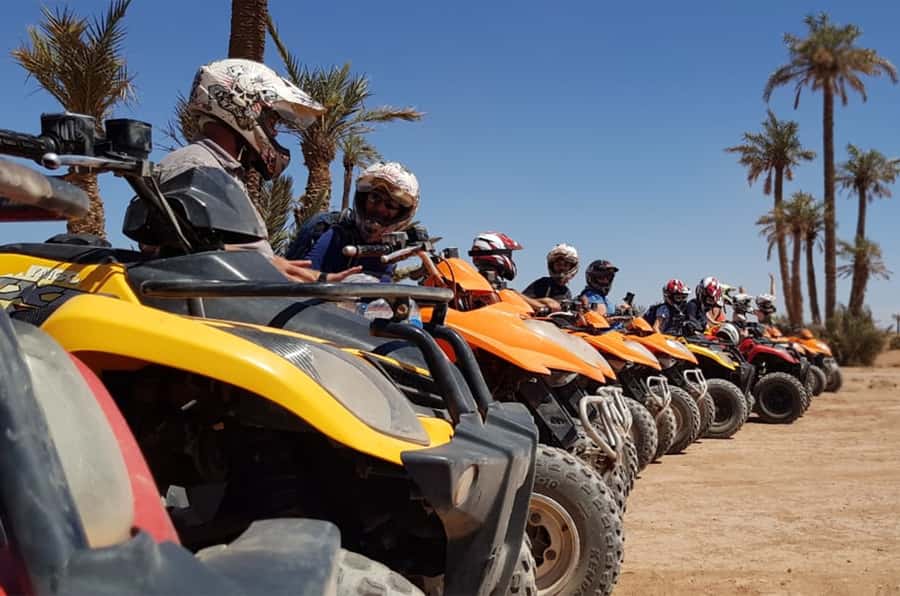 Marrakech Desert & Palm Grove Quad Bike Tour - Across sand, stones, and palm groves