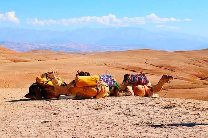 Marrakech Desert Quad and Camel ride, Lunch, and Poolside - Atlas Mountain views, waterfalls, and village roads