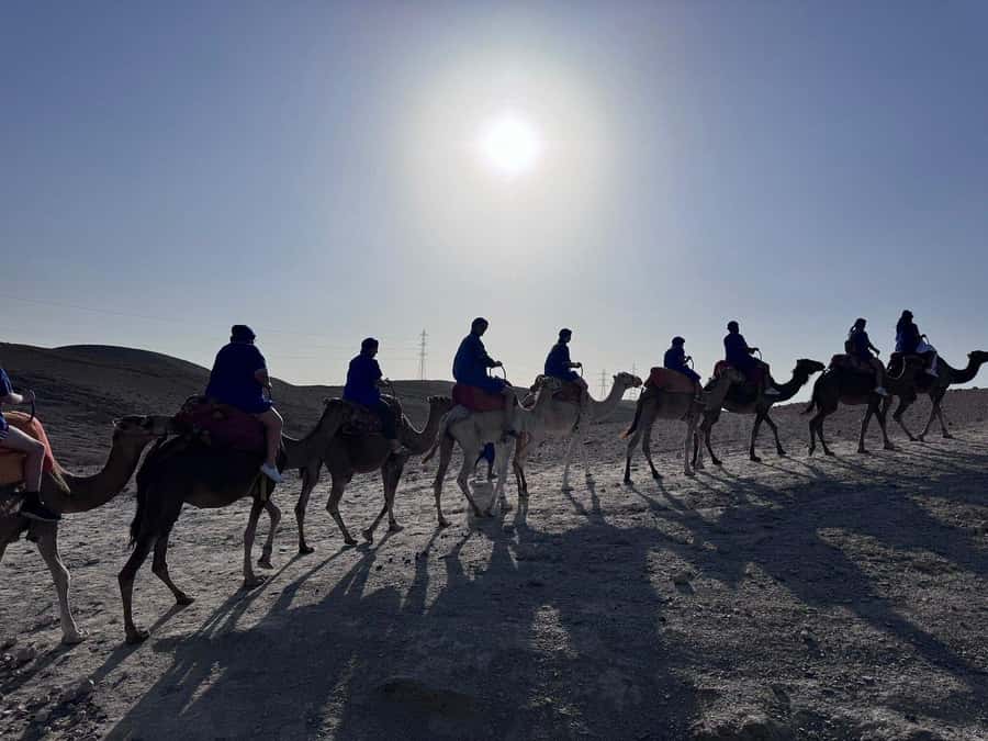 Marrakech: Desert Quad Bike Tour with Tea & Optional Dinner - Optional camel riding and what to clarify