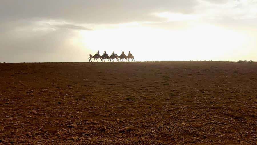 Marrakech: Desert Quad Bike Tour with Tea & Optional Dinner - What the $45 price really buys
