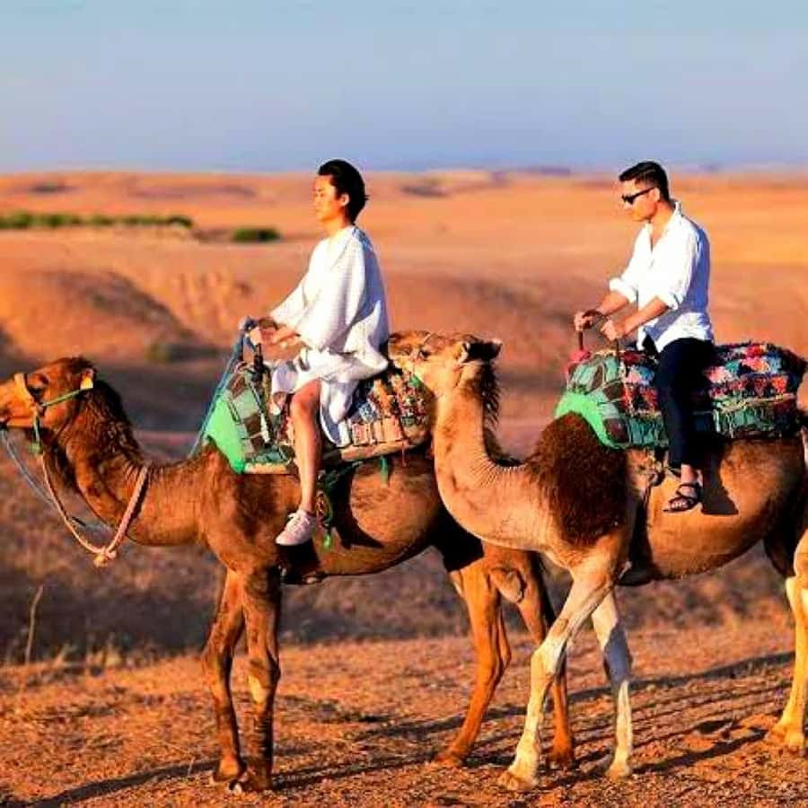 Marrakech: Dinner and Quad bike Desert Agafay Stars & show - Is $14 really good value?