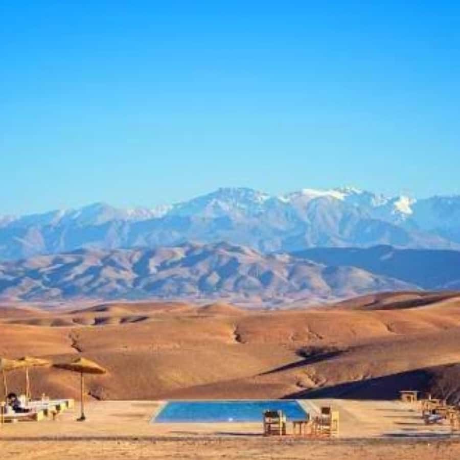 Marrakech: Dinner and Quad bike Desert Agafay Stars & show - The argan oil stop and Moroccan tea