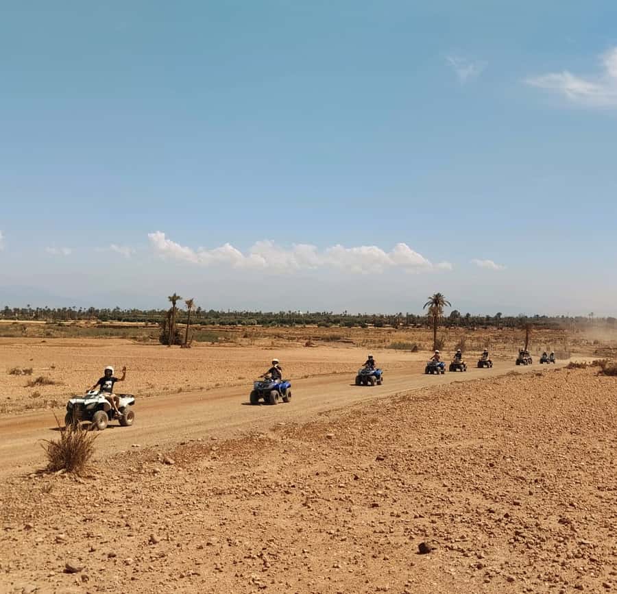 Marrakech:excursion quad in Oasis palm & jbilat desert,tea - The highlights at a glance