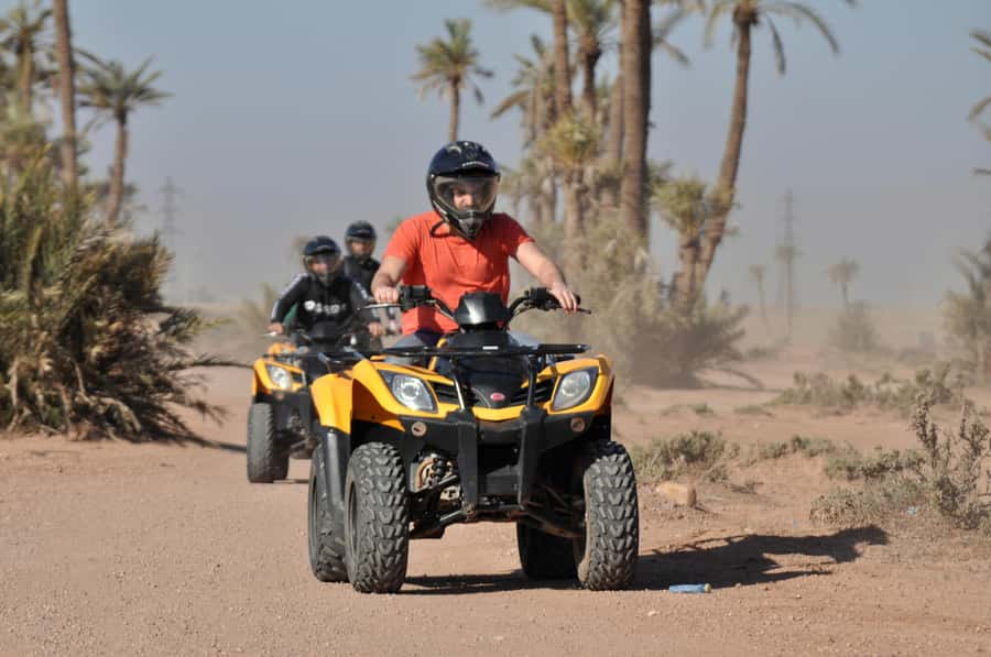 Marrakech:excursion quad in Oasis palm & jbilat desert,tea - Palm trees, sand, and Berber villages