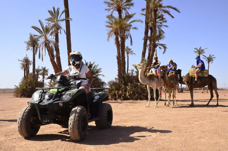 Marrakech:excursion quad in Oasis palm & jbilat desert,tea - The tea stop is more than a photo break