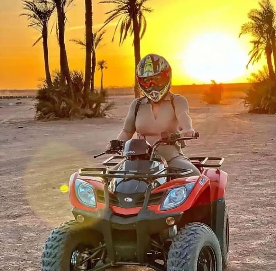 Marrakech, explore the palm grove desert by quad bike - Key points before you book