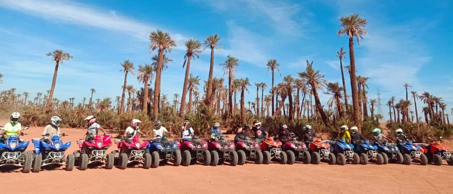 Marrakech, explore the palm grove desert by quad bike - Riding for 1.5 hours among palms and desert tracks