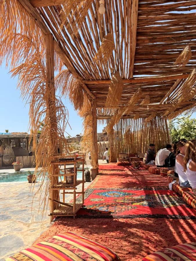 Marrakech: Full-Day Camel Ride, Quad Bike, & Spa Tour - Who should book this outing?