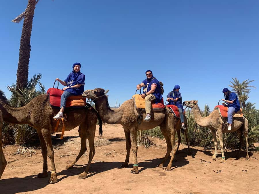 Marrakech: Guided Quad Bike and Camel Ride Tour with Tea - Leaving Marrakech for the Palmeraie