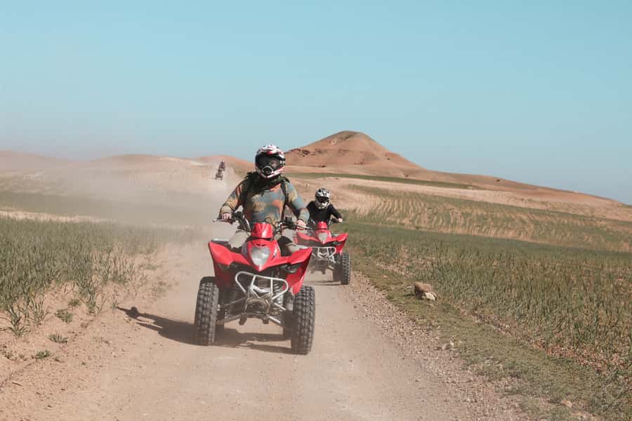 Marrakech: Half-Day Desert Quad Tour with Camel Ride - Who should book this Marrakech tour?