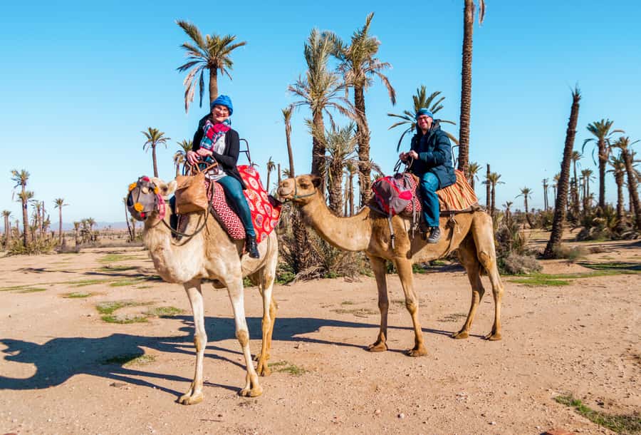 Marrakech: Half-Day Desert Quad Tour with Camel Ride - What the $34 half-day tour actually includes