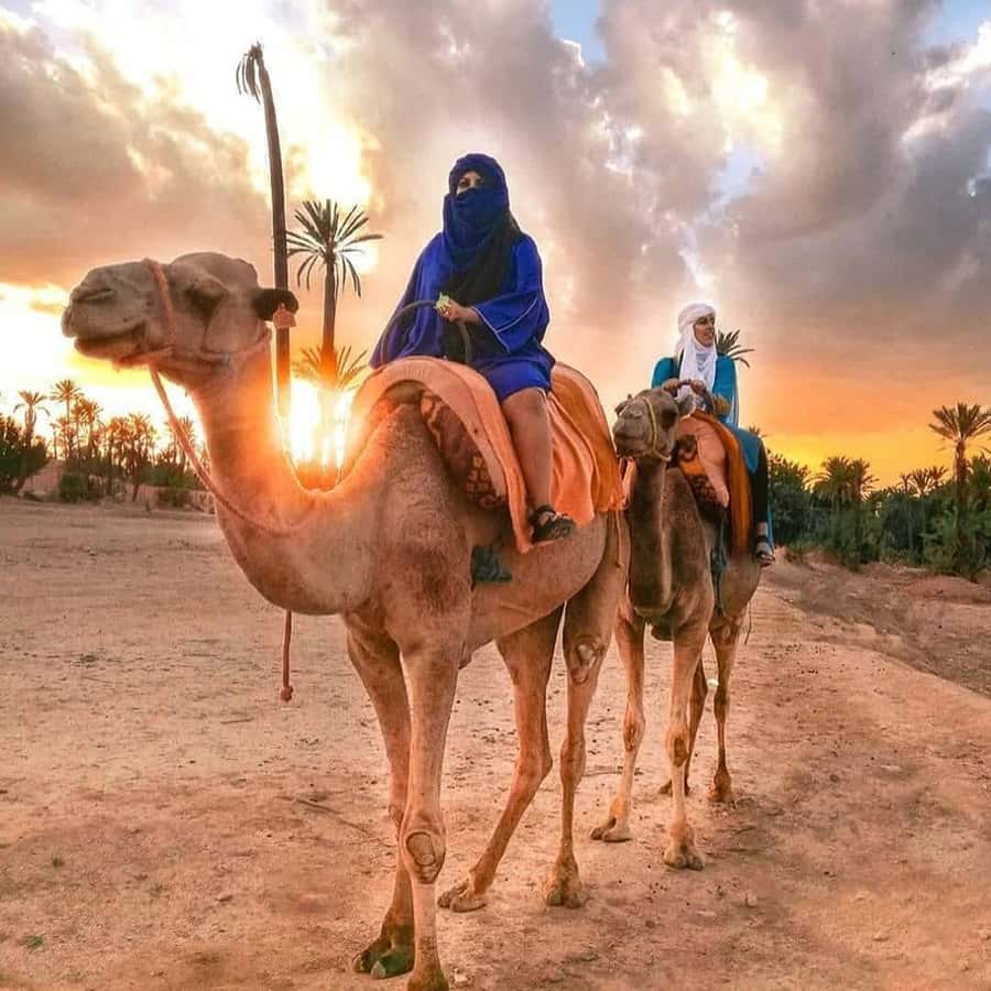 Marrakech: Half-Day Desert Quad Tour with Camel Ride - Tea, shade, bread, and Moroccan hospitality