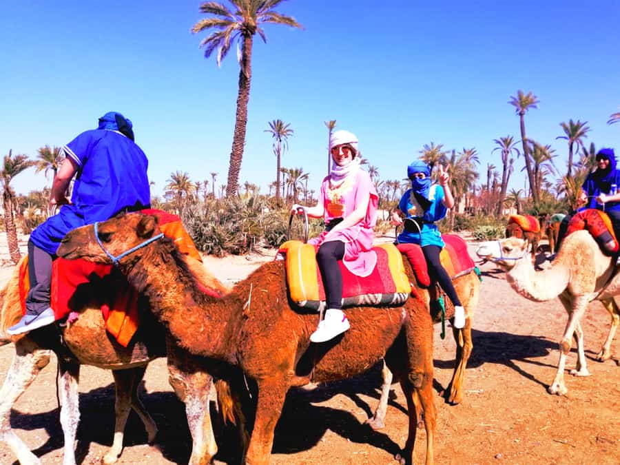 Marrakech: Half-day Dunes Trip With Buggy and Camel Ride - Key points at a glance
