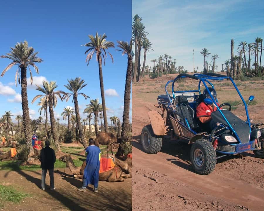 Marrakech: Half-day Dunes Trip With Buggy and Camel Ride - Leaving Marrakech for the desert