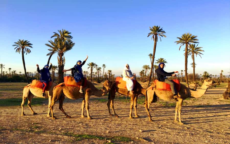 Marrakech: Half-day Dunes Trip With Buggy and Camel Ride - What the buggy section gives you