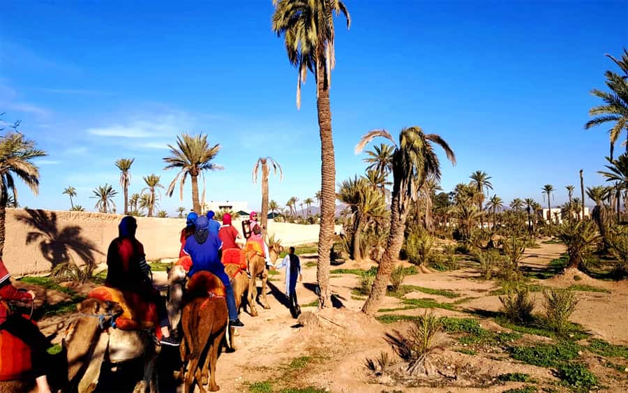 Marrakech: Half-day Dunes Trip With Buggy and Camel Ride - Who will enjoy this half-day outing