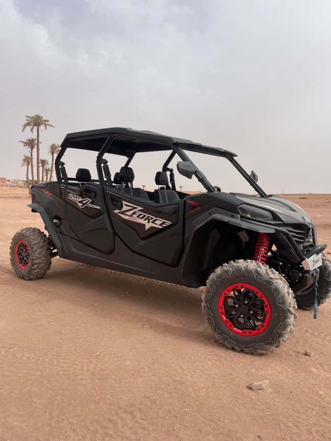 Marrakech: Half-day private tour in a 1000cc buggy in the Agafay Desert - A tea break with a local touch