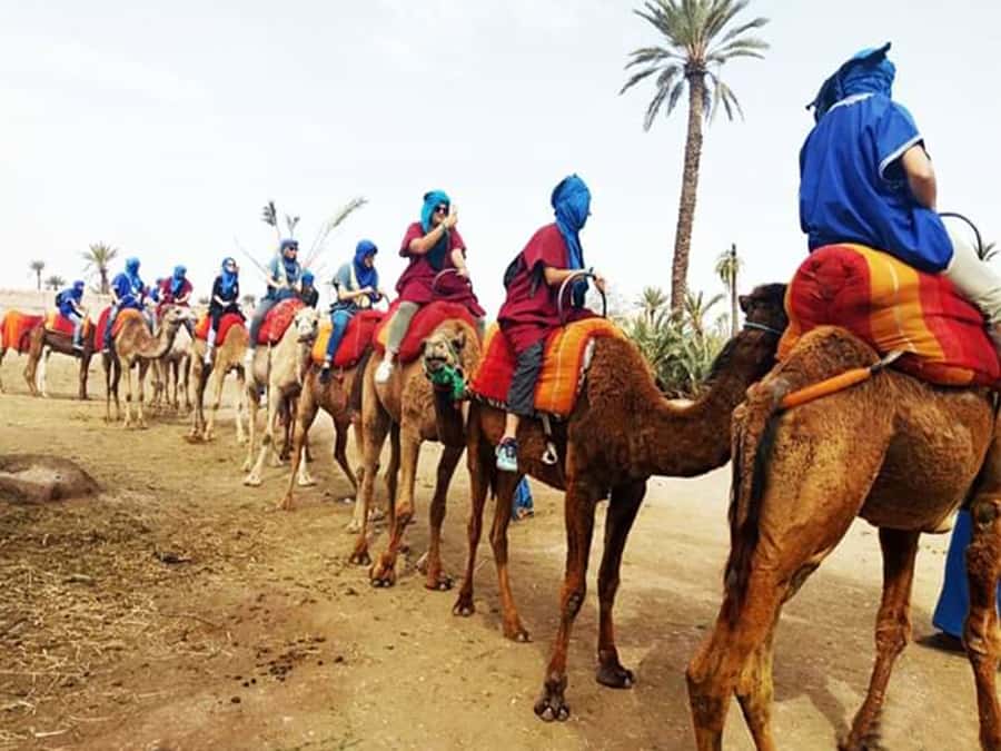 Marrakech: Half-Day Tour with Buggy Ride, Camel Ride and Spa - One half-day, three very different Marrakech experiences