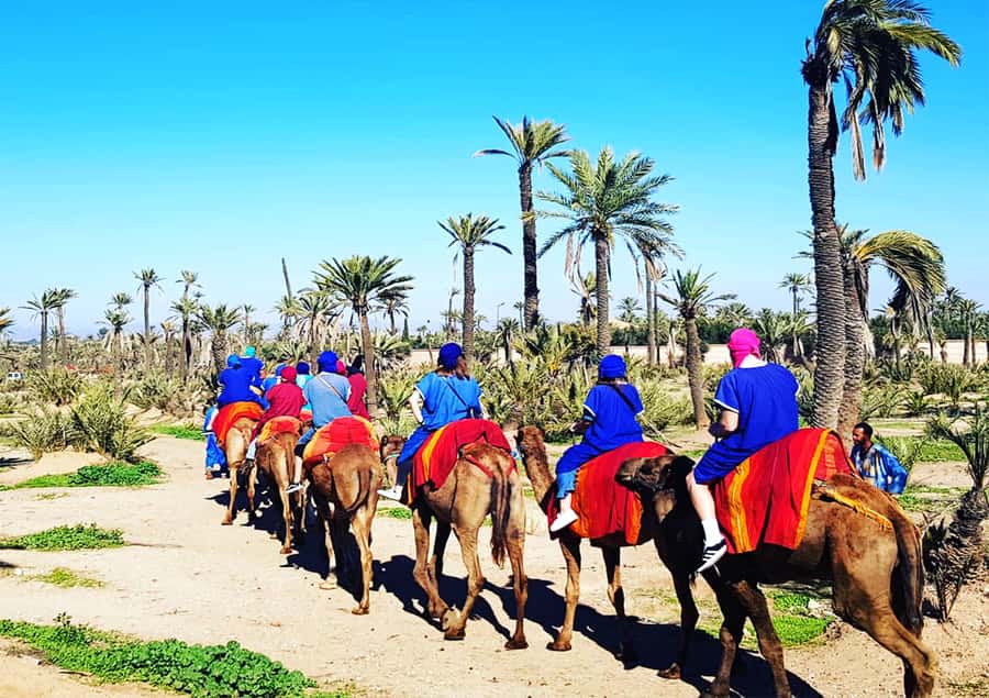 Marrakech: Half-Day Tour with Buggy Ride, Camel Ride and Spa - A traditional spa finish in the Medina