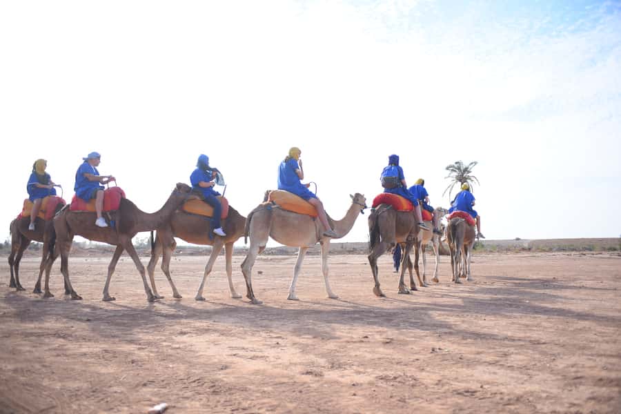 Marrakech: pack quad and camel ride in the palm grove - Key points at a glance