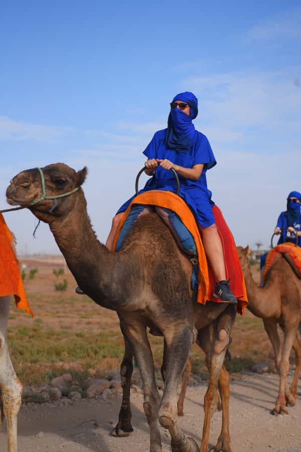 Marrakech: pack quad and camel ride in the palm grove - What to bring and what to expect