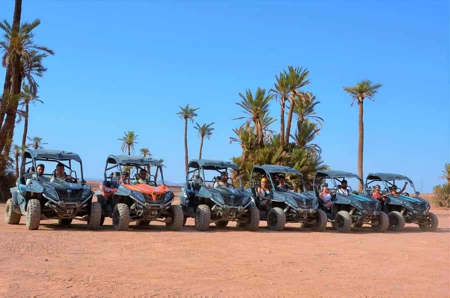 Marrakech: Palm Grove and Desert Buggy excursion - A Quiet Mint Tea Stop in a Traditional Village