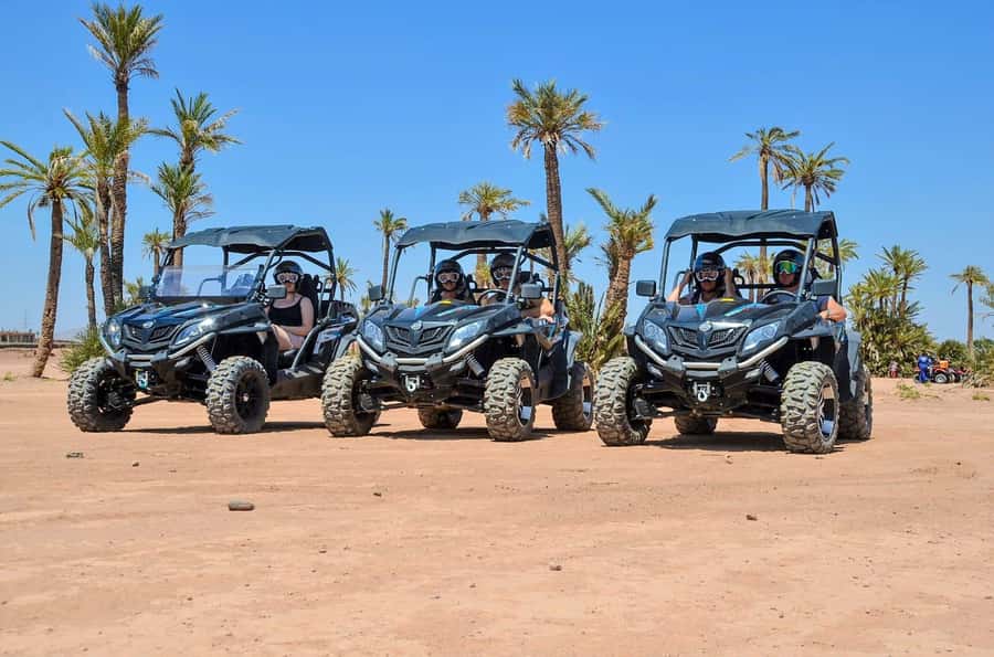 Marrakech: Palm Grove and Desert Buggy excursion - Photo Stops, Dust, and the Practical Side