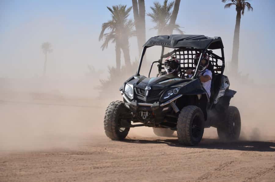 Marrakech: Palm Grove and Desert Buggy excursion - Is $45 Good Value for Three Hours?