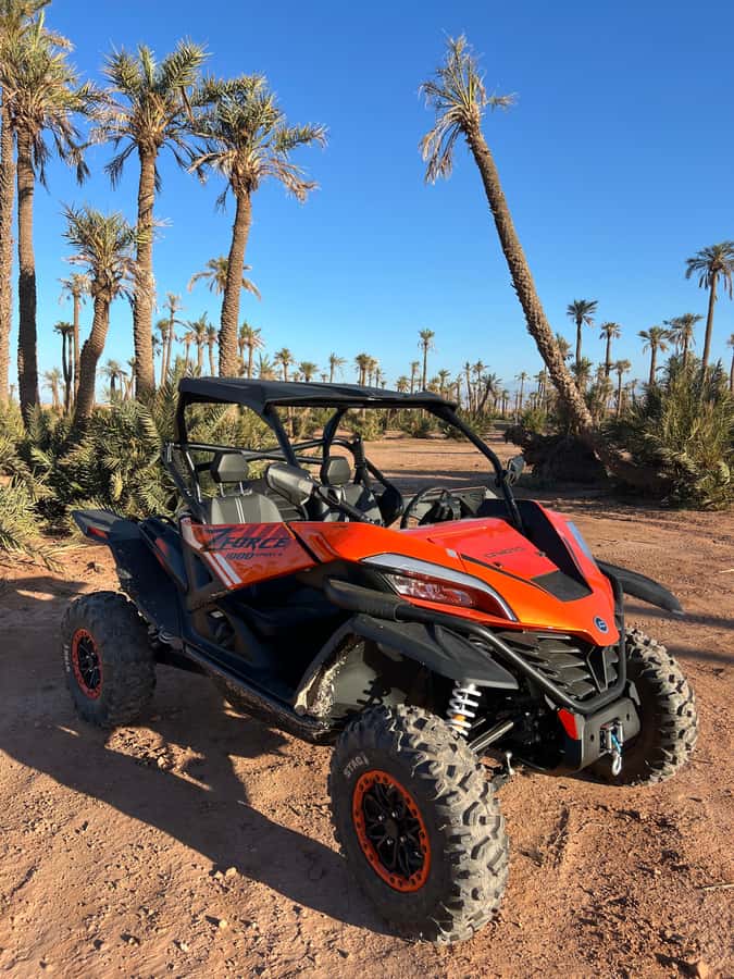 Marrakech : Palm Grove and jbilat Desert Buggy 1000cc Tour - Key points before you book