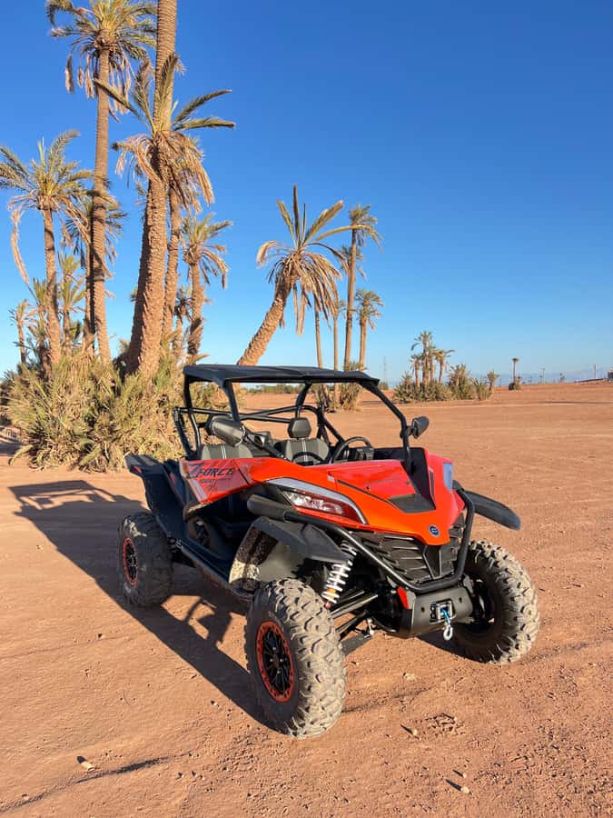 Marrakech : Palm Grove and jbilat Desert Buggy 1000cc Tour - The final ride back to Marrakech