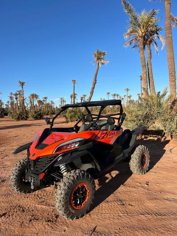 Marrakech : Palm Grove and jbilat Desert Buggy 1000cc Tour - Two hours across rocky desert and palms