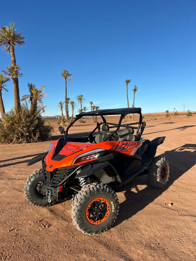 Marrakech : Palm Grove and jbilat Desert Buggy 1000cc Tour - Mint tea in a traditional villa