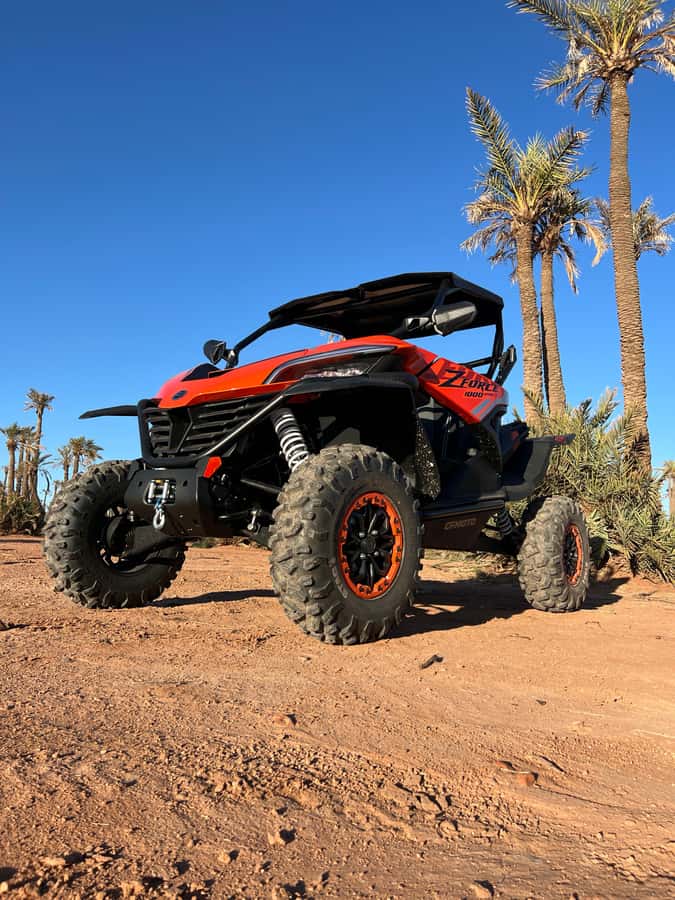 Marrakech : Palm Grove and jbilat Desert Buggy 1000cc Tour - A second stop for palm grove photographs