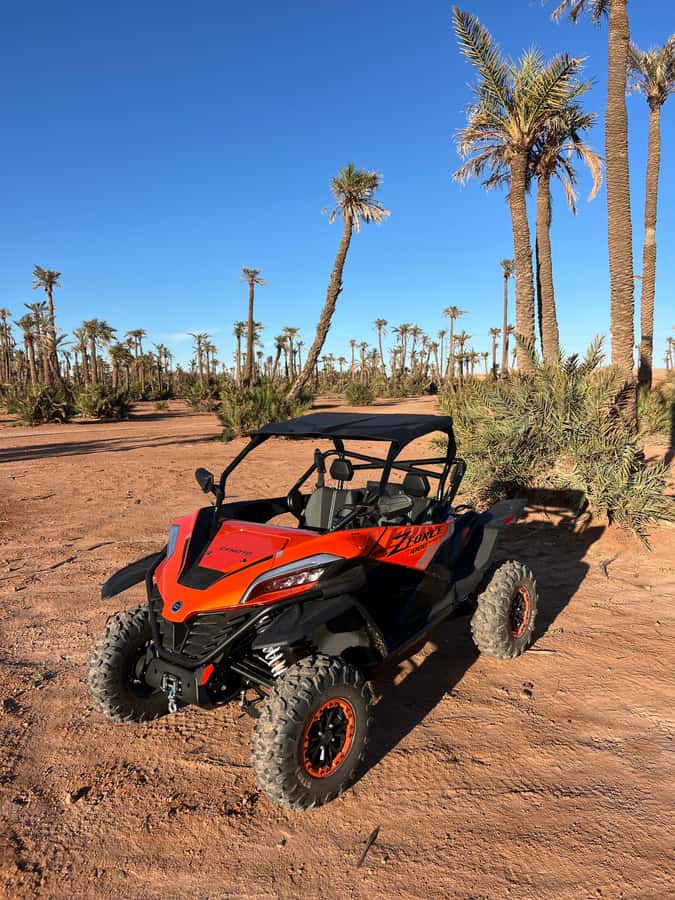 Marrakech : Palm Grove and jbilat Desert Buggy 1000cc Tour - What $79 includes and what it does not