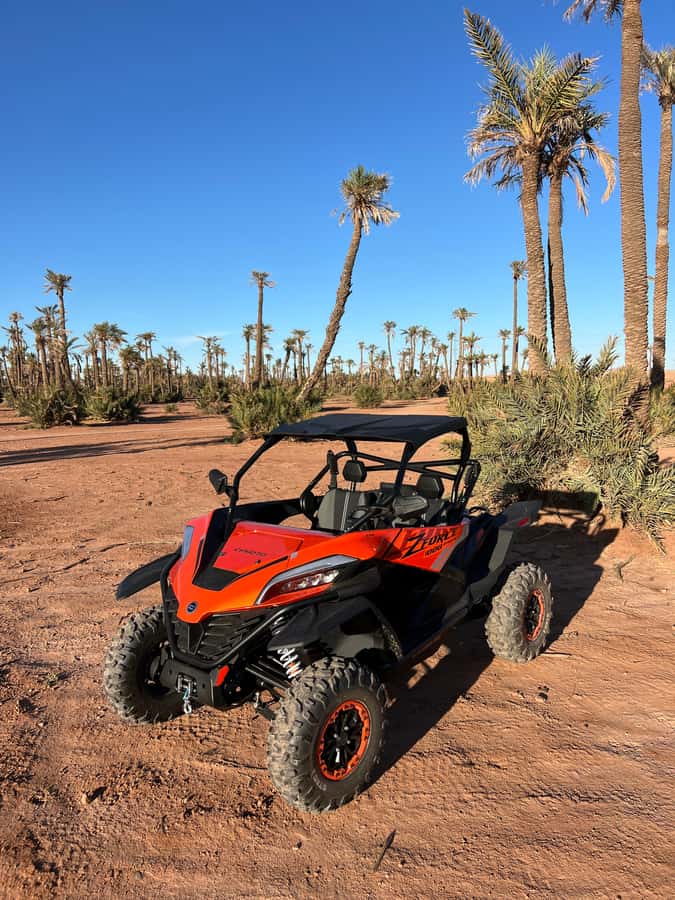 Marrakech : Palm Grove and jbilat Desert Buggy 1000cc Tour - Who will enjoy this outing most