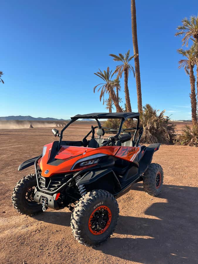 Marrakech : Palm Grove and jbilat Desert Buggy 1000cc Tour - Timing, comfort, and practical preparation
