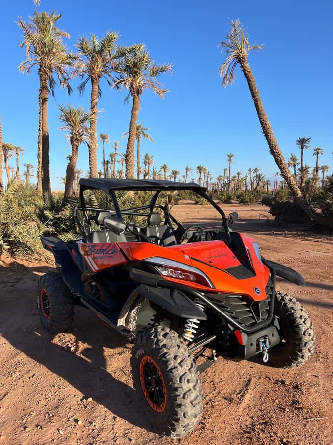 Marrakech : Palm Grove and jbilat Desert Buggy 1000cc Tour - Getting ready for a Buggy ZCF 1000cc ride