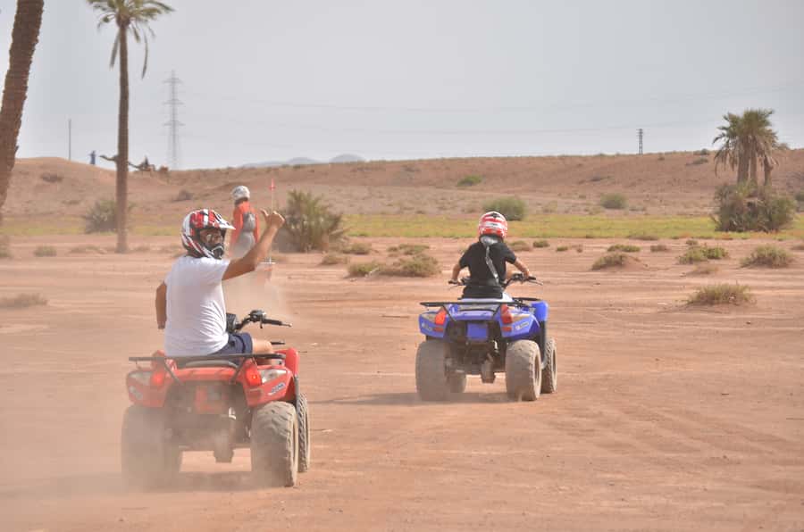 Marrakech: Palm Grove Quad Bike Tour - Quick facts about the ride