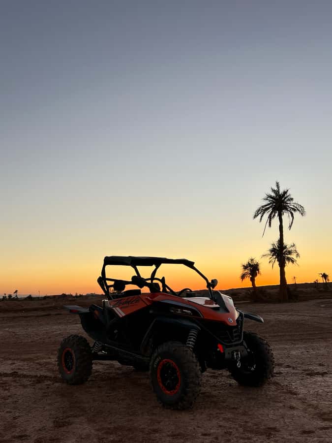 Marrakech: Palm Grove Sunset Buggy Tour - Key points to know before booking