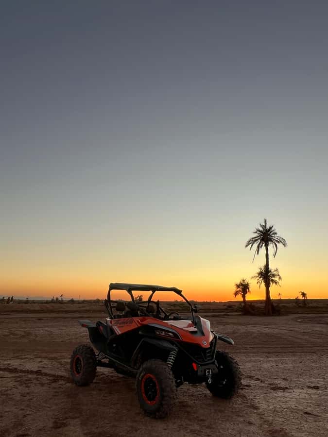 Marrakech: Palm Grove Sunset Buggy Tour - What the $79 price includes