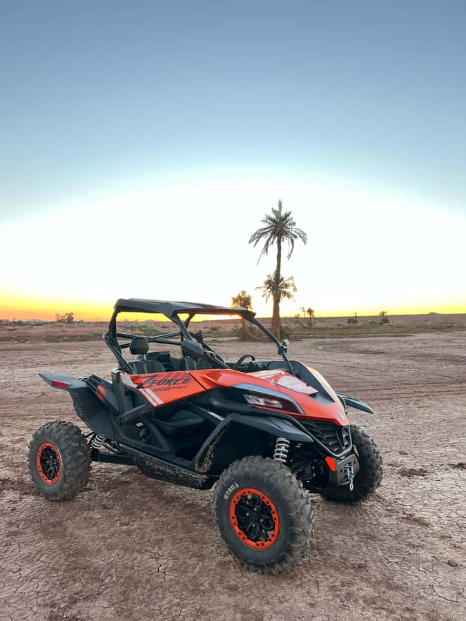 Marrakech: Palm Grove Sunset Buggy Tour - Sunset photos, changing light, and one route weakness