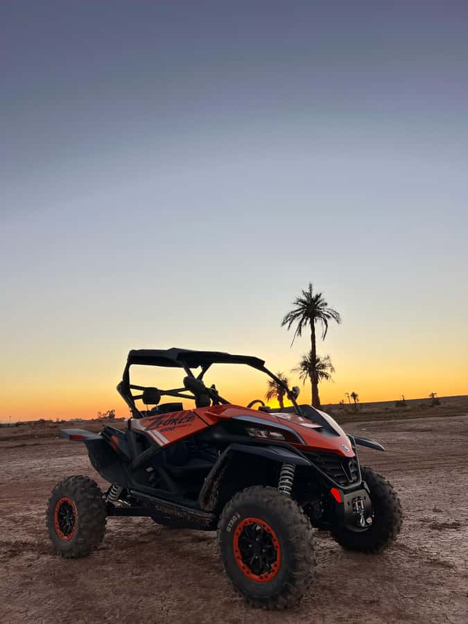Marrakech: Palm Grove Sunset Buggy Tour - The guides make the difference