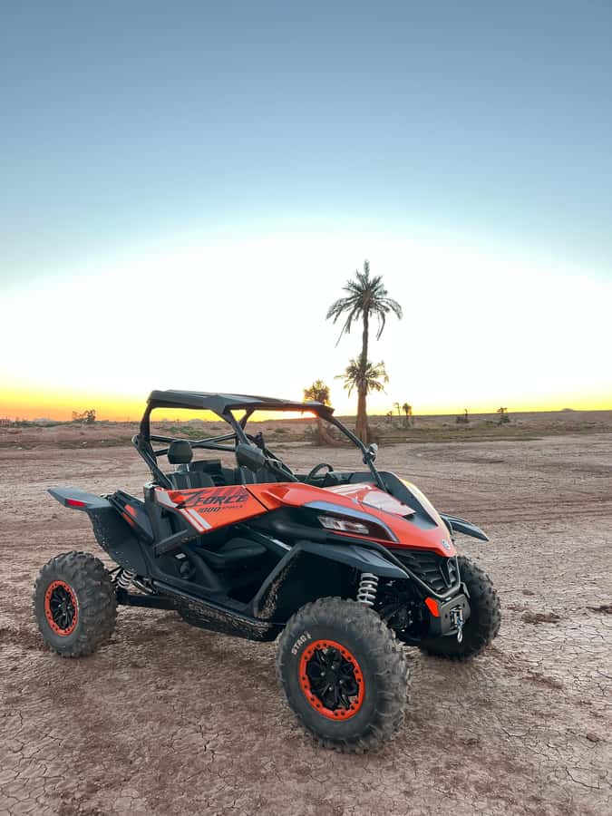 Marrakech: Palm Grove Sunset Buggy Tour - Who should choose this Marrakech activity?