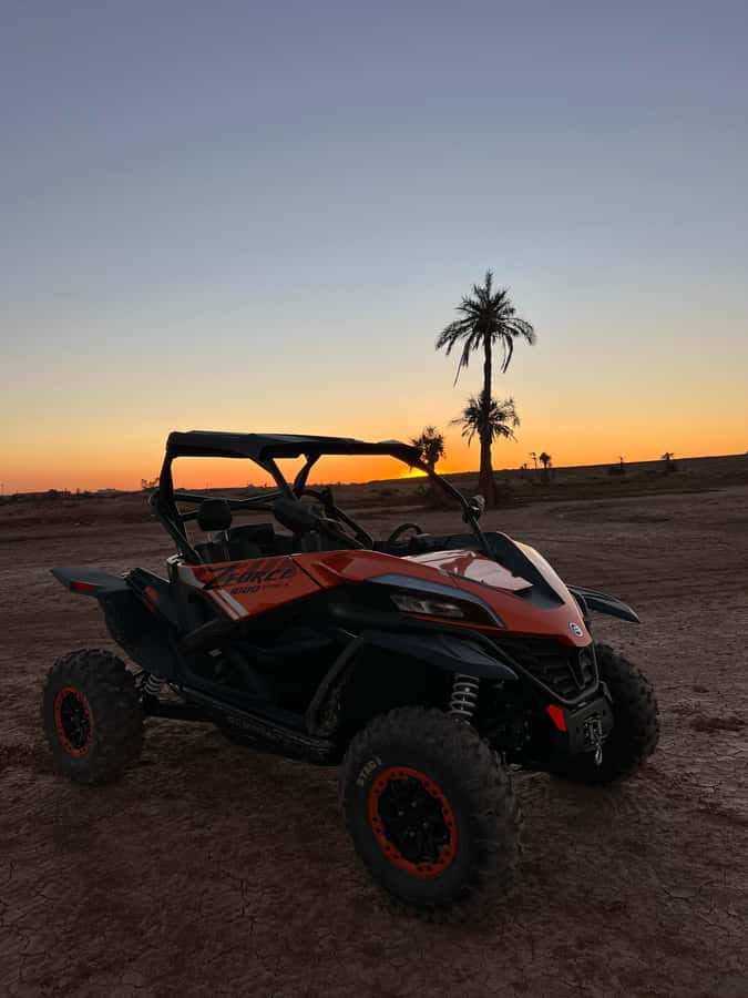 Marrakech: Palm Grove Sunset Buggy Tour - Practical details that affect your decision