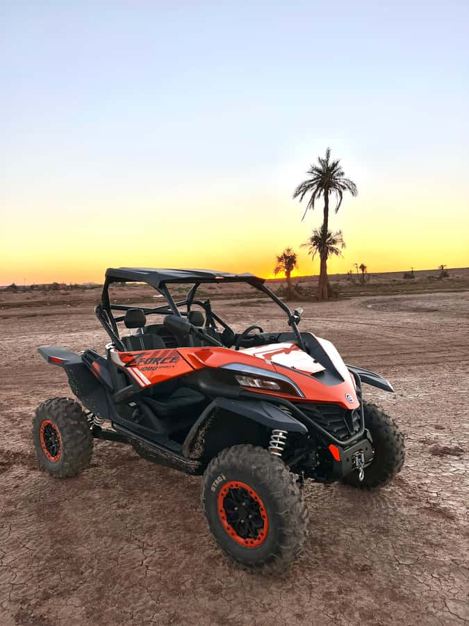 Marrakech: Palm Grove Sunset Buggy Tour - Should you book the sunset buggy tour?