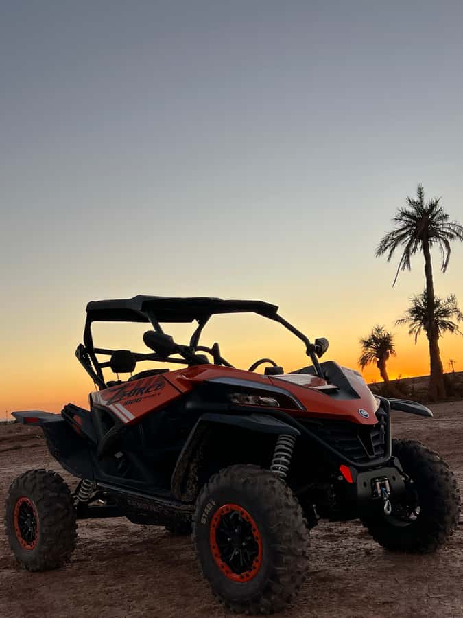 Marrakech: Palm Grove Sunset Buggy Tour - Pickup from Marrakech and the short trip to the Palmeraie