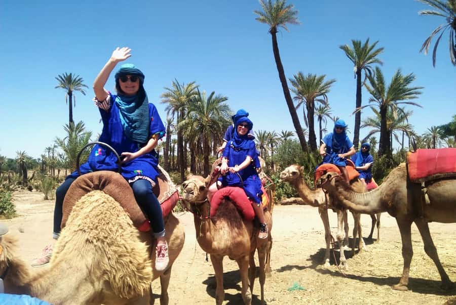 Marrakech Palmeraie: Camel Ride & Quad Bike Experience - Quick facts worth knowing