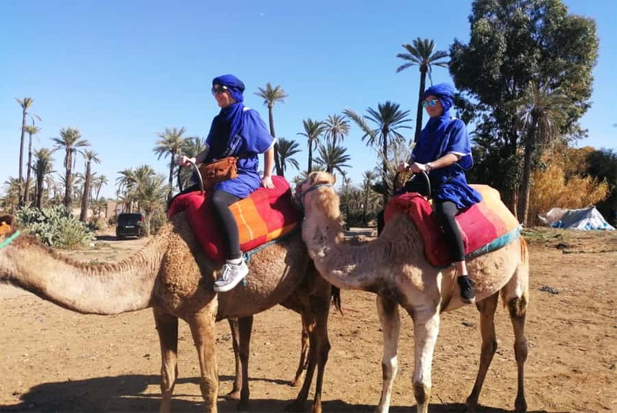 Marrakech Palmeraie: Camel Ride & Quad Bike Experience - Leaving Marrakech for the Palmeraie