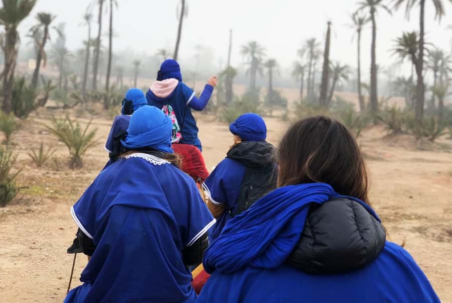 Marrakech Palmeraie: Camel Ride & Quad Bike Experience - Who will enjoy this outing most?